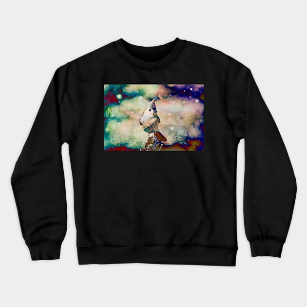 "Songbird & Fairy Lights" Crewneck Sweatshirt by Colette22